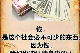 保亭要账公司更多成功案例详情